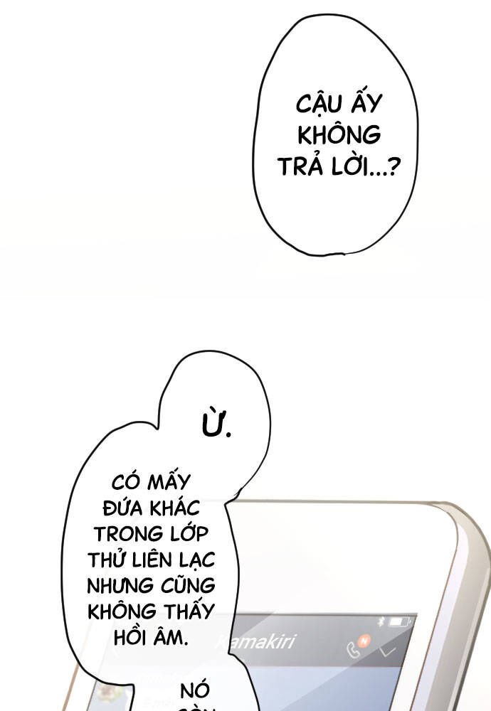 Hoa Cánh Sao
