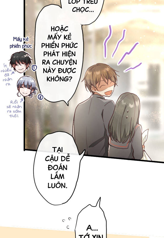 Hoa Cánh Sao
