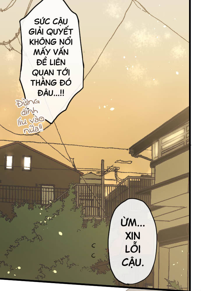Hoa Cánh Sao