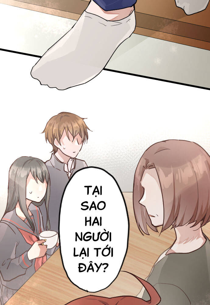 Hoa Cánh Sao