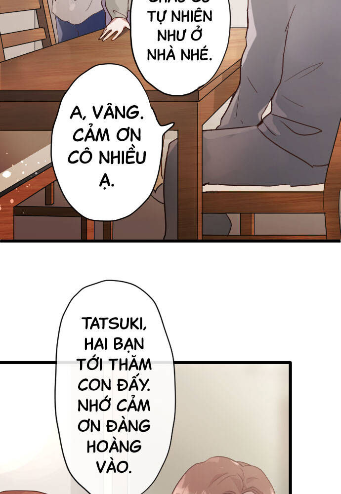 Hoa Cánh Sao