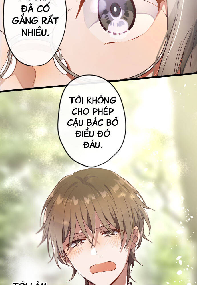 Hoa Cánh Sao