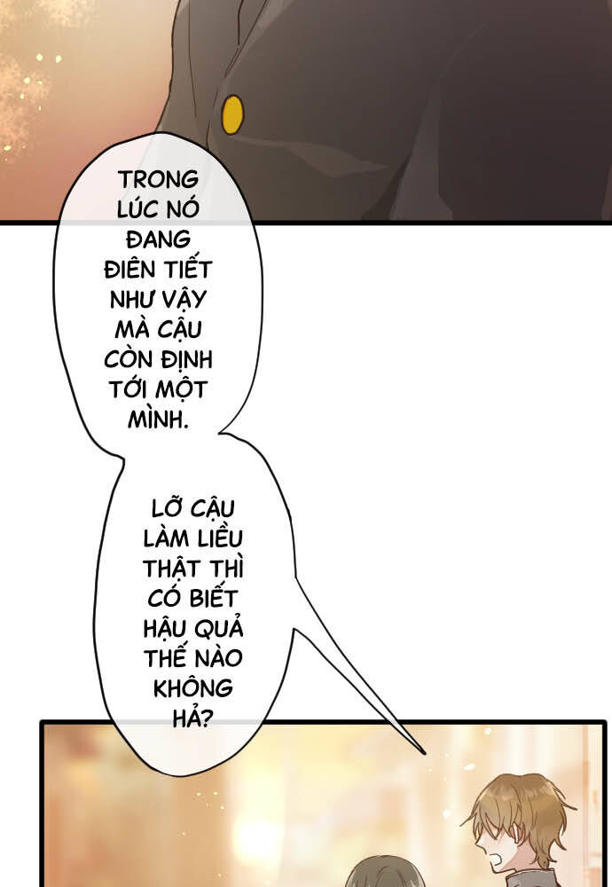 Hoa Cánh Sao
