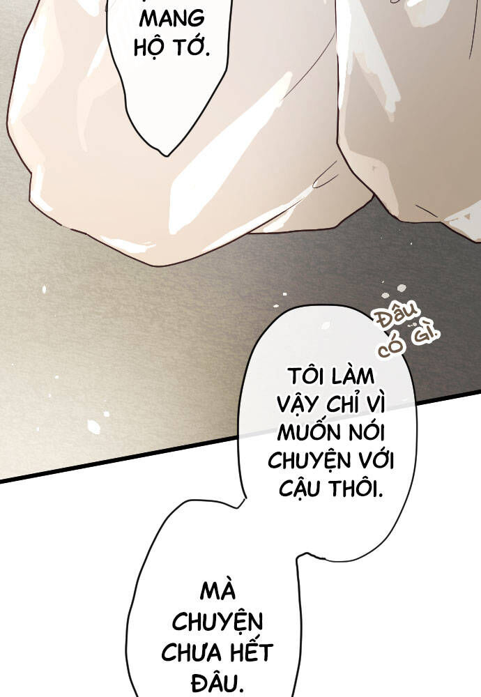 Hoa Cánh Sao