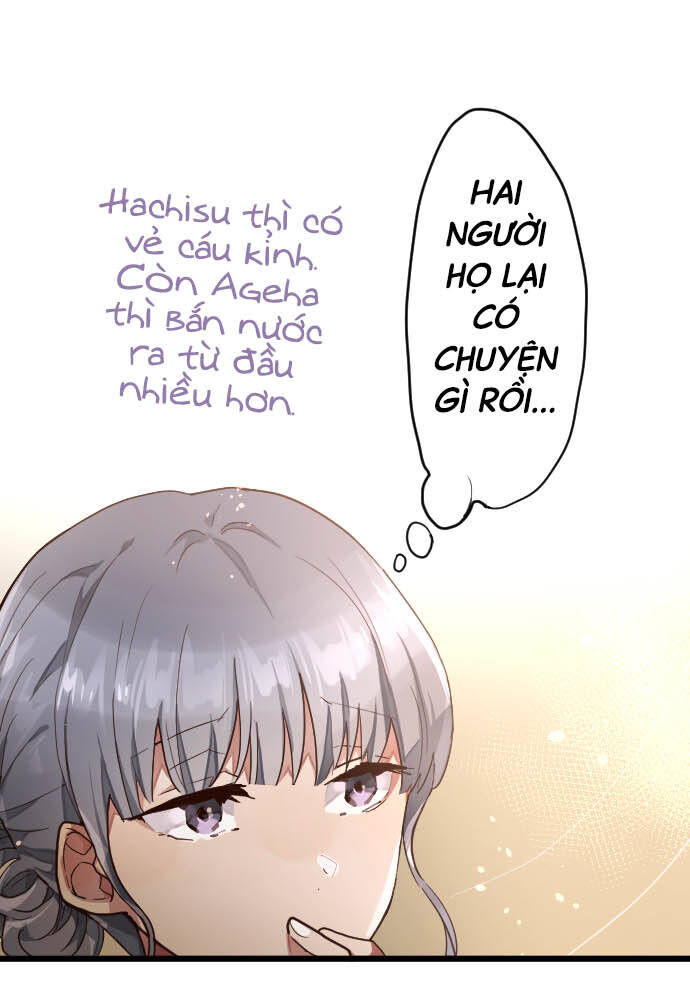 Hoa Cánh Sao