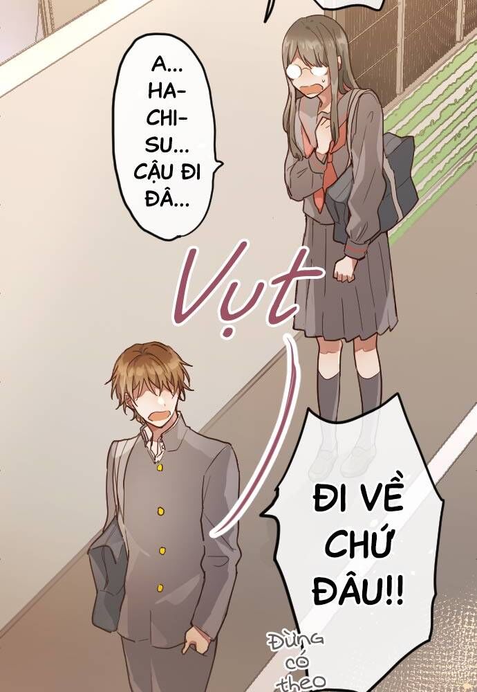 Hoa Cánh Sao