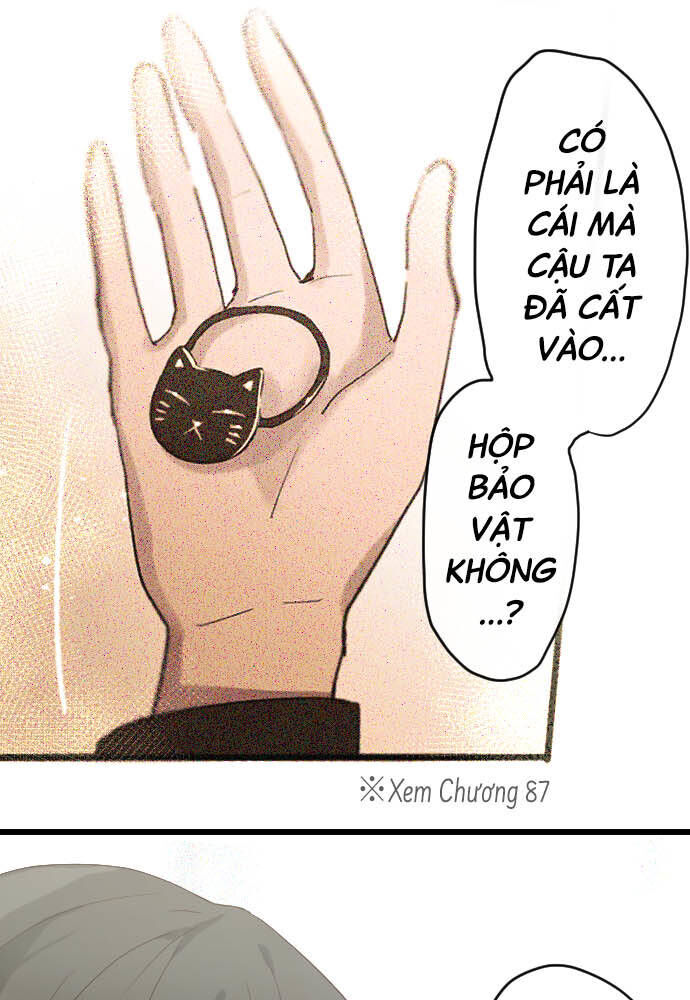 Hoa Cánh Sao
