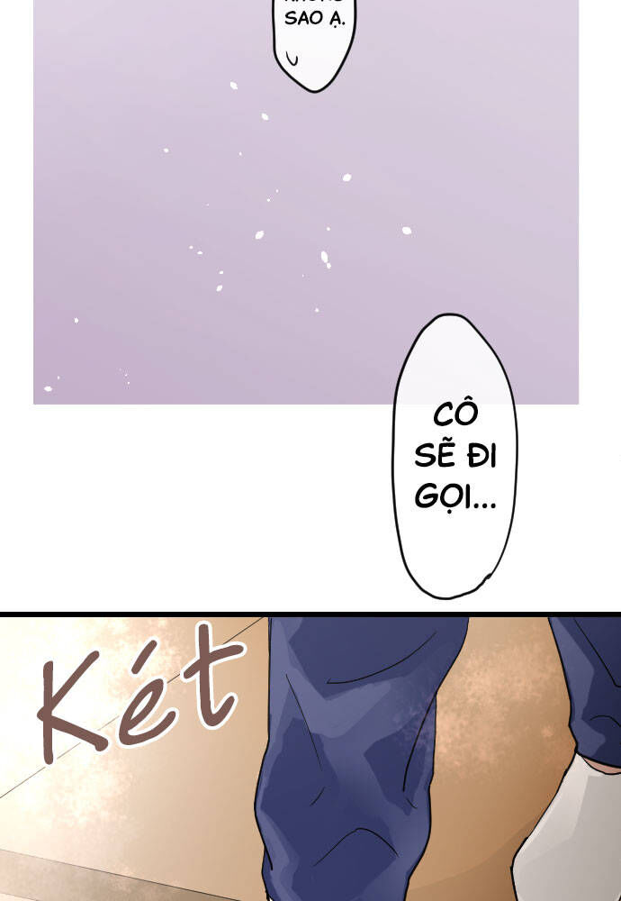 Hoa Cánh Sao