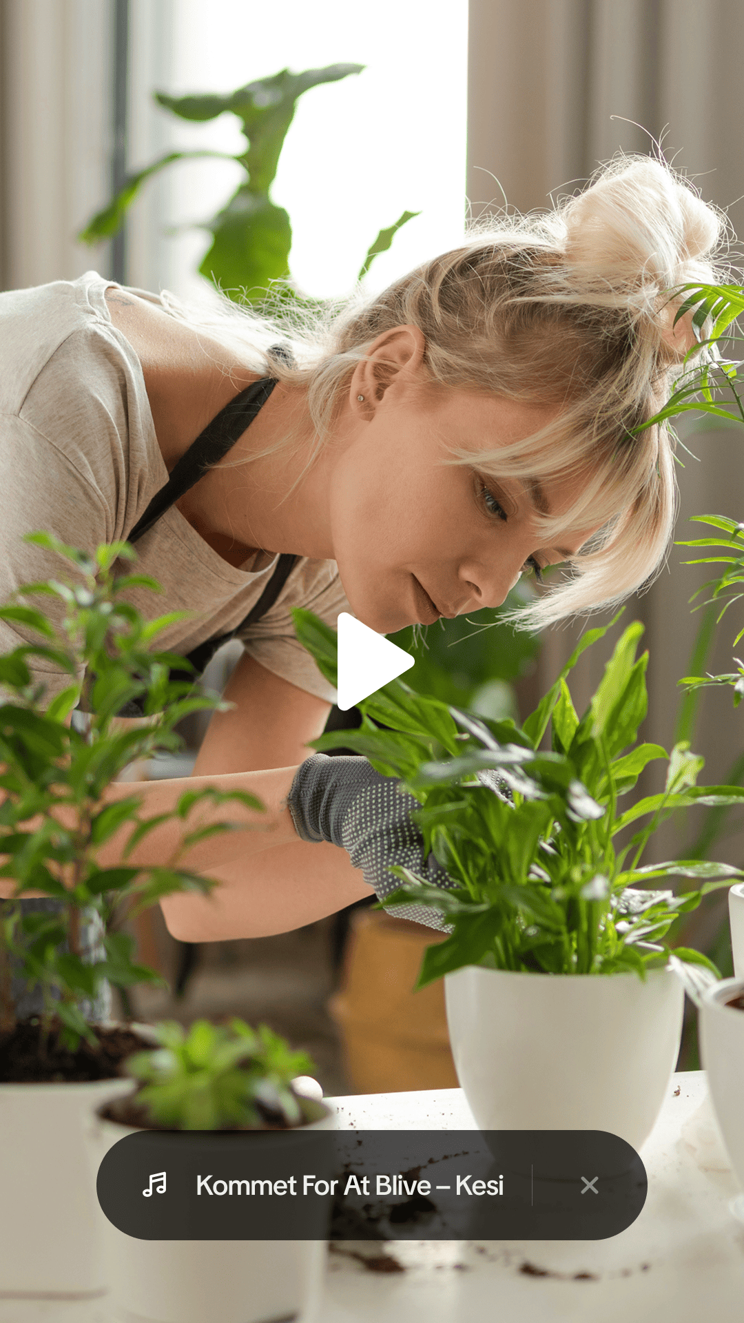 Choose the video for your campaign on TikTok