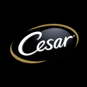 Cesar logo