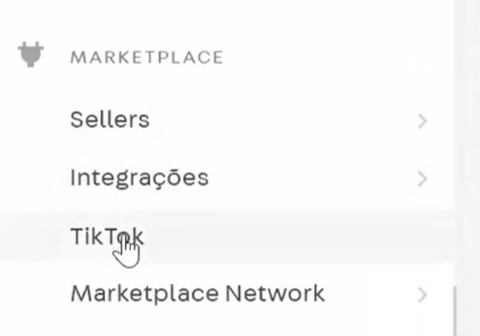 TikTok on VTEX 设置指南