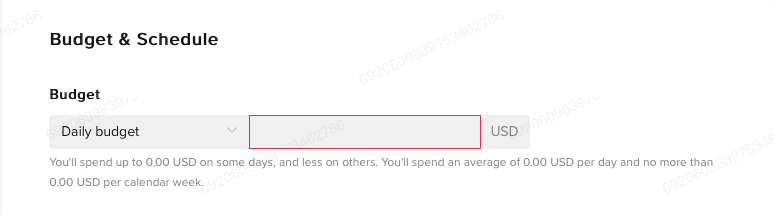 TikTok ads minimum daily budget 2024 optimization