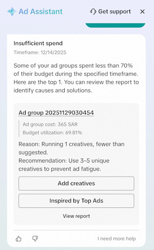 Ad Assistant Diagnosis Scenario 3: Insufficient spend