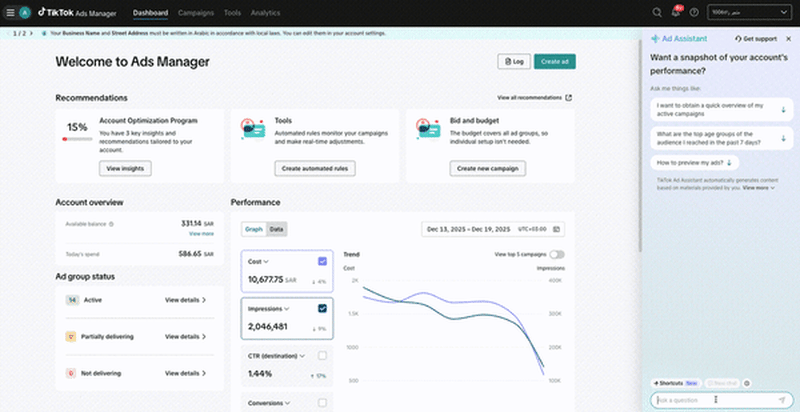Ad Assistant Diagnosis - Chat