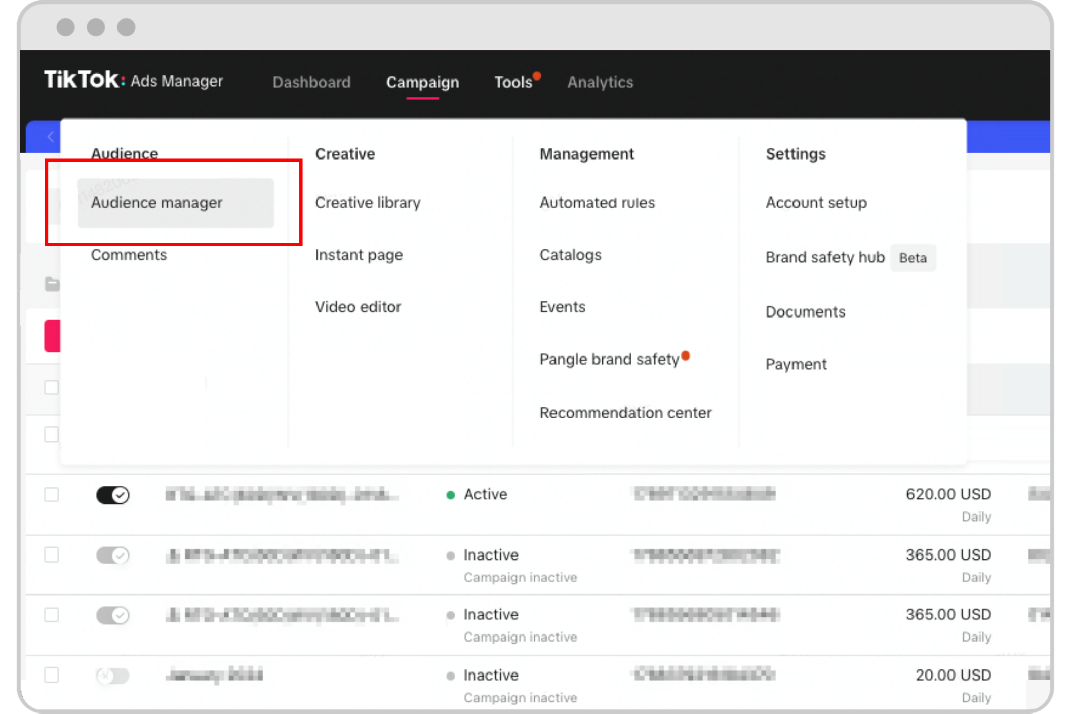TikTok audience optimization