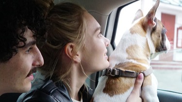 Bolt UK: TikTok Case Study