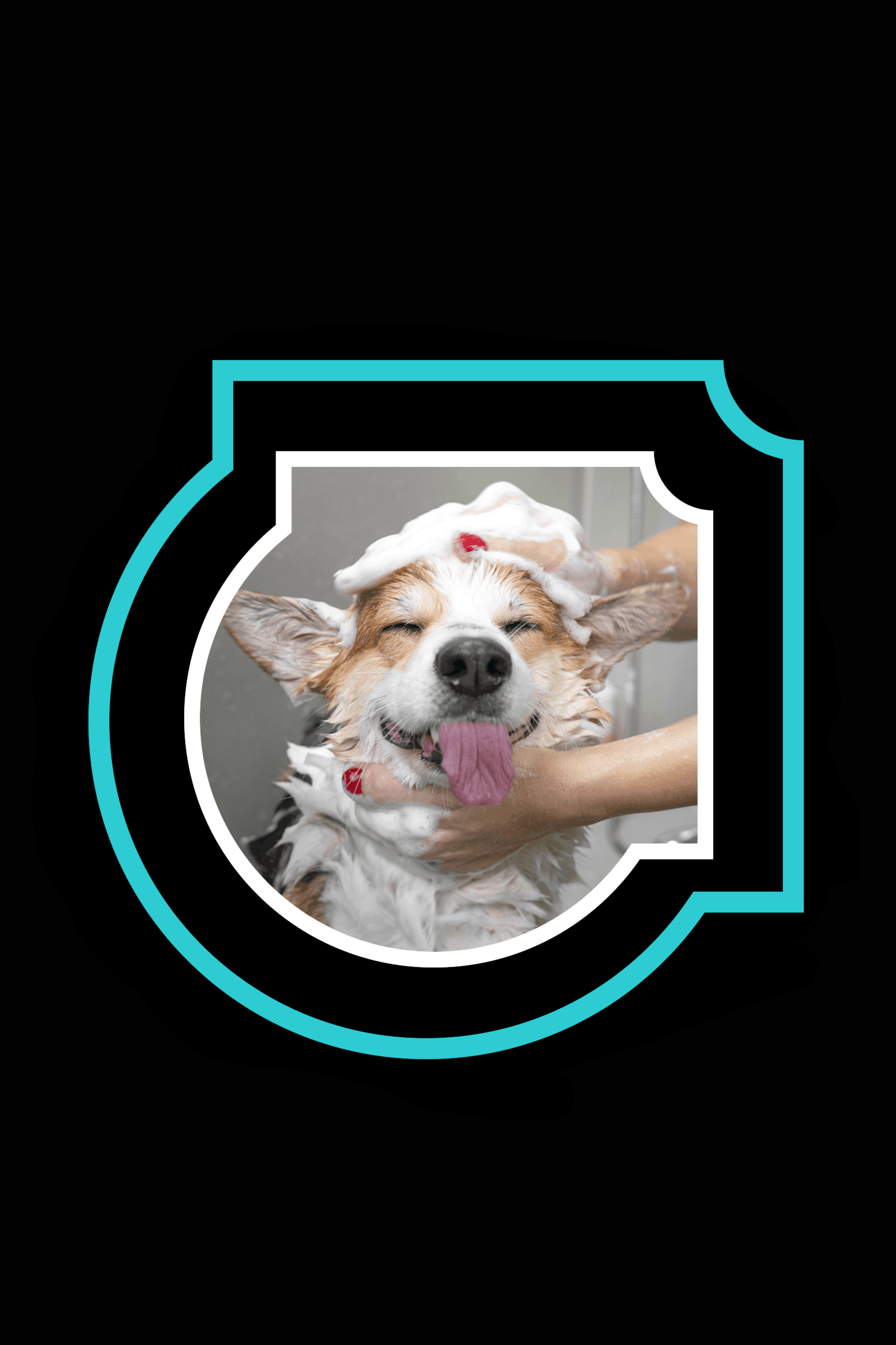 GYB Hero Image New Branding - optimized