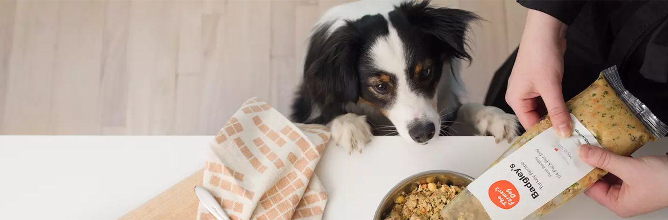 Cover-farmer-s-dog-503