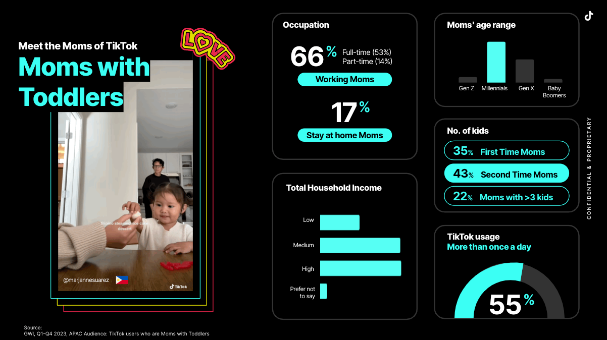 Moms with Toddlers demographics