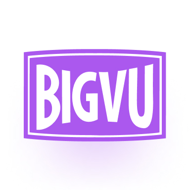 bigvu logo