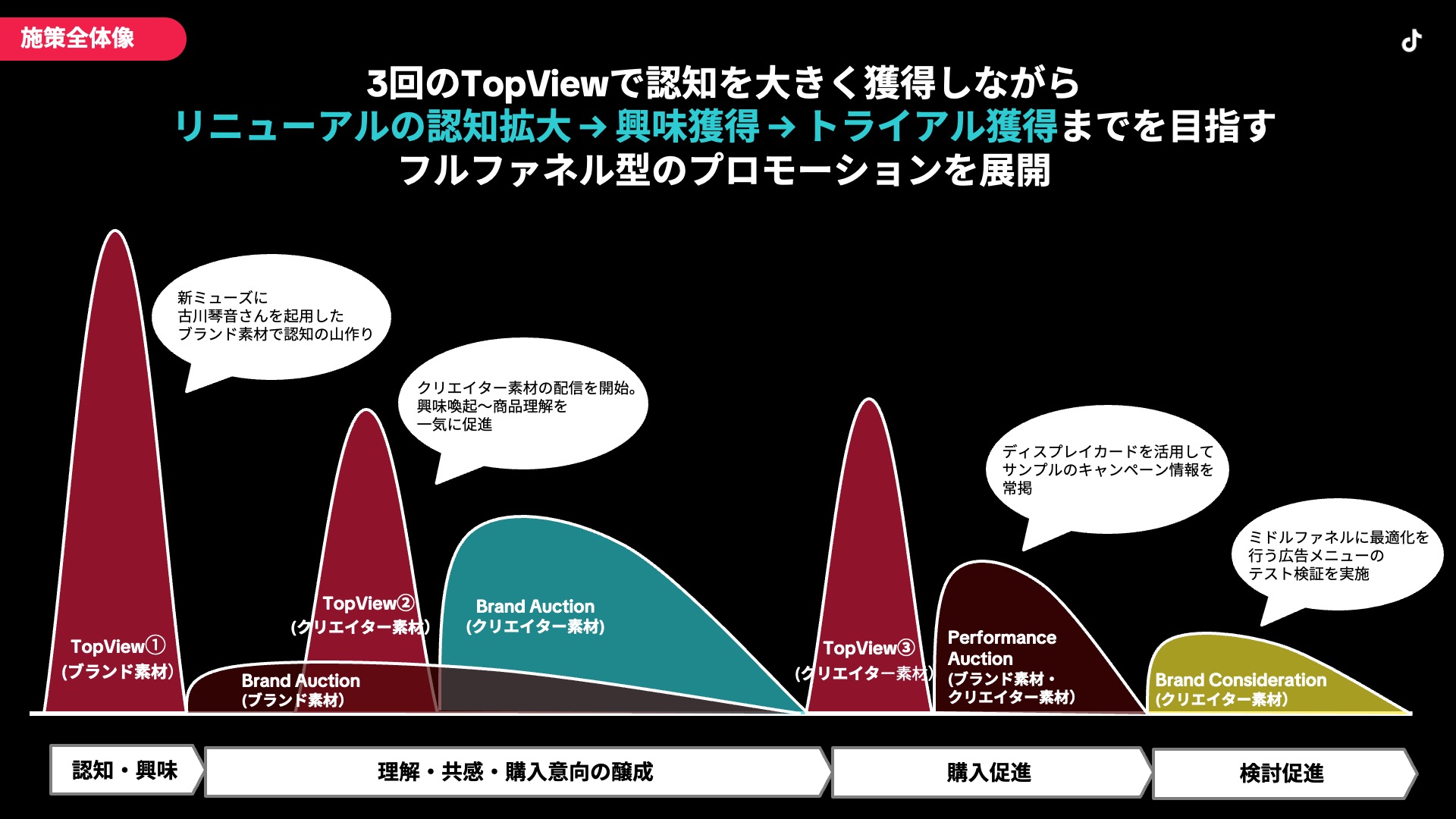 advertimes-shiseido-casestudy-03