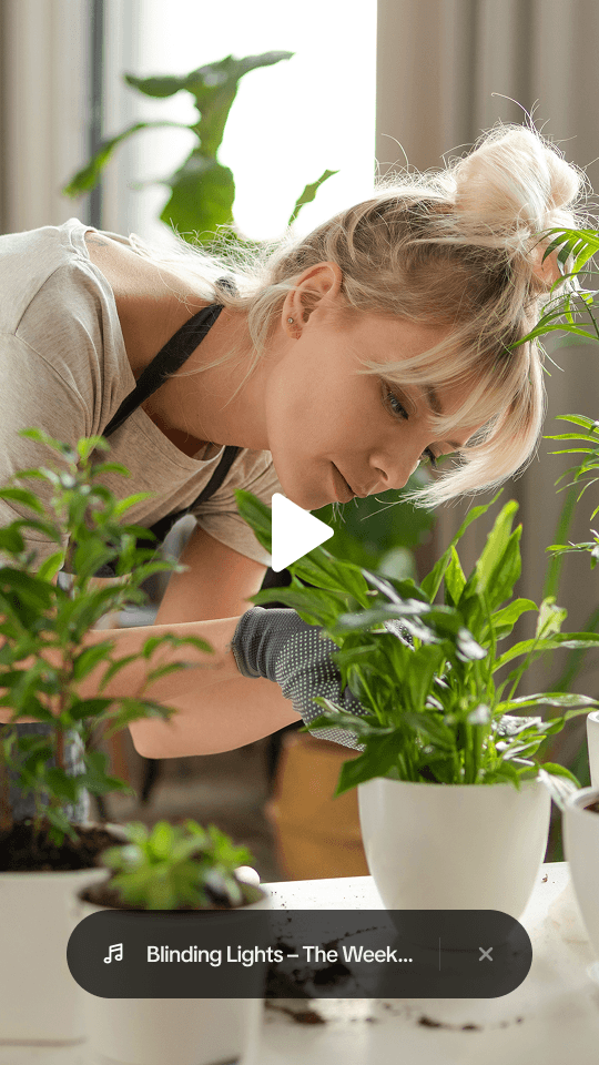 Choose the video for your campaign on TikTok