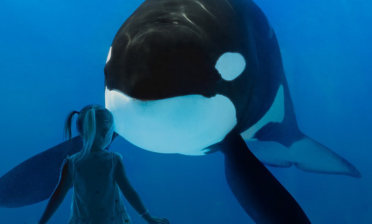 seaworld-thumbnail