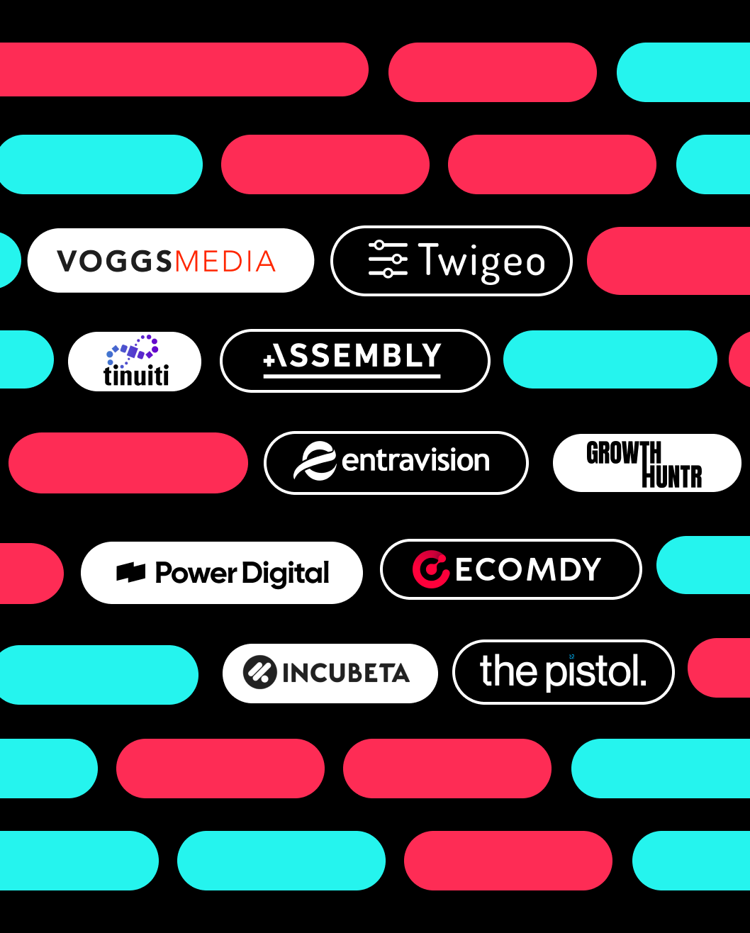 TikTok's badged Agency Partners