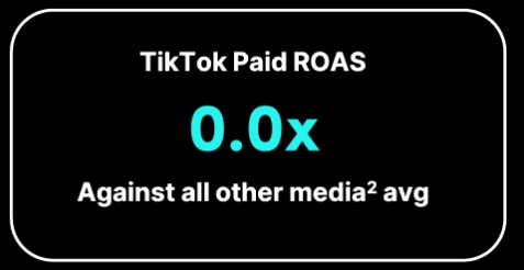 image-1 grow-your-business-with-tiktok-media-mix-modeling