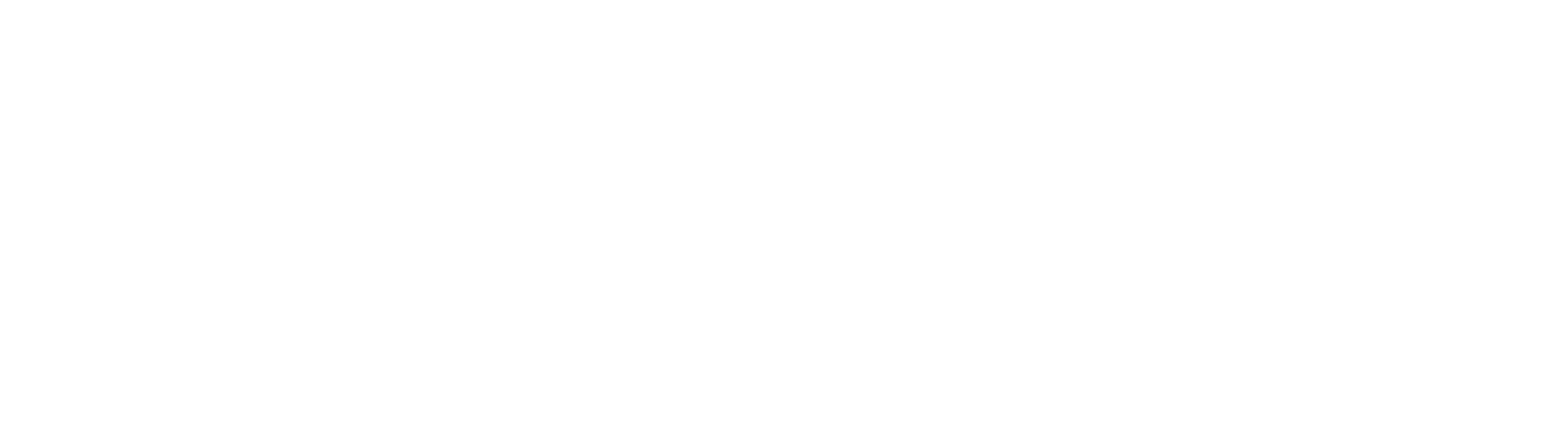 Rexona Horizontal Logo White