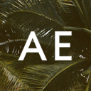 American Eagle logo