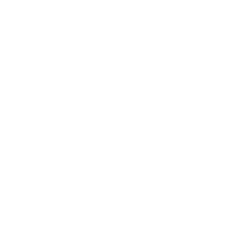 Logo REVEL 128x128px