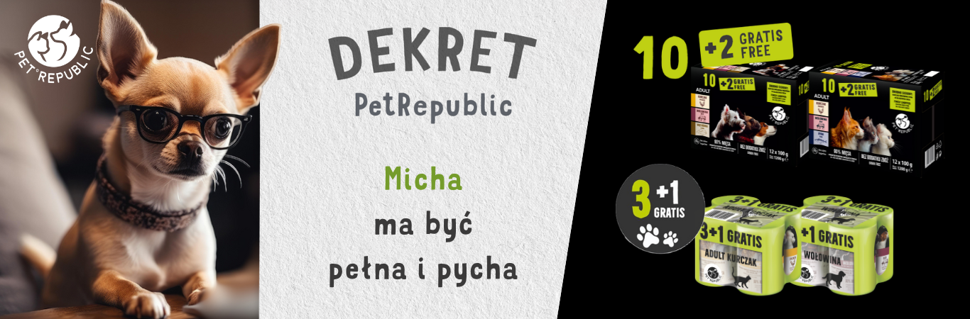 Pet Republic header image TikTok SMB Case Study