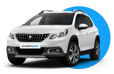 OcasionPlus Thumbnail TikTok SMB Case Study