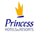 Princess Hotels Logo TikTok SMB Case Study
