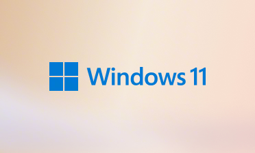 Microsoft Windows Microsoft Windows