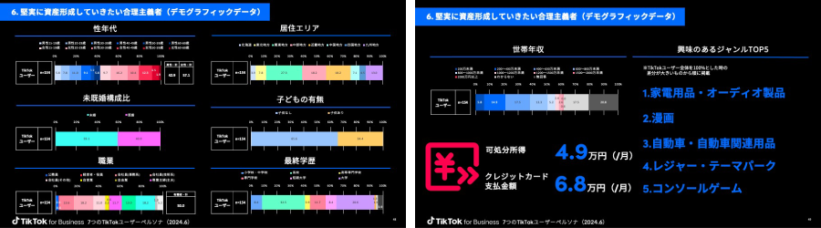 tiktok-users-persona-whitepaper-04