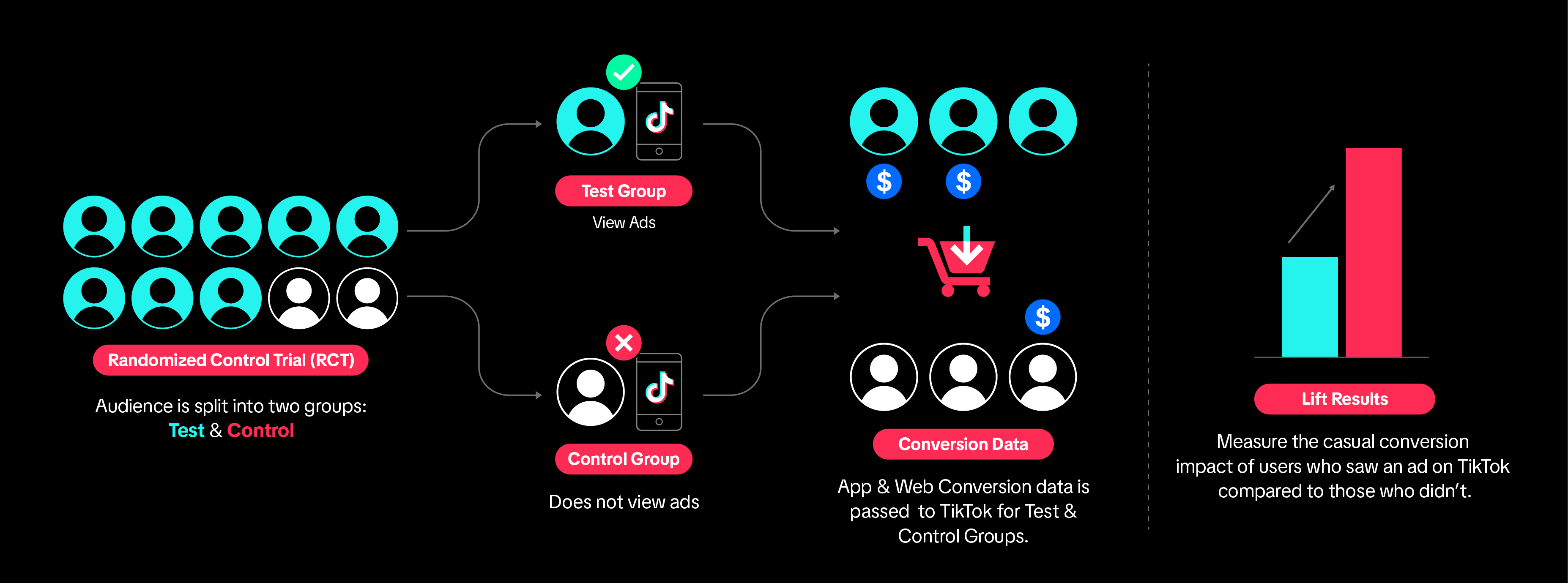 TikTok Conversion Lift Study 