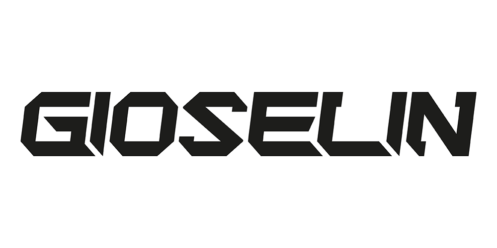 Gioselin image TikTok succes stories