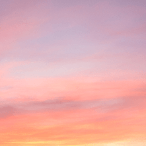 Watch it. Love it. Want it.