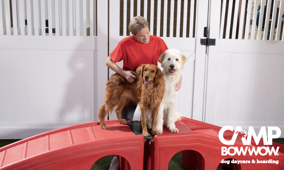 Camp Bow Wow social image