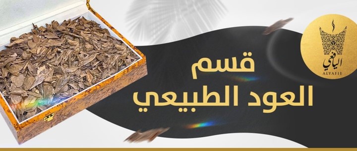 Oud Alyafie​ strategy on TikTok