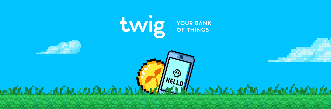 Twig cover image