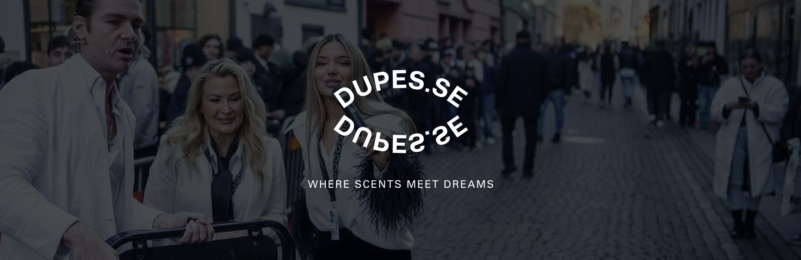 Dupes SE Cover Image TikTok SMB Case Study