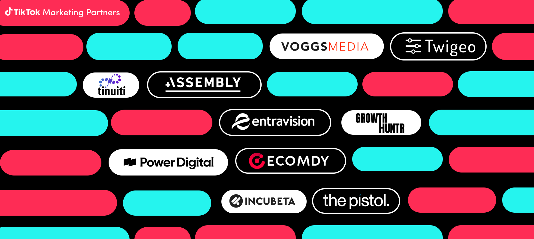TikTok's badged Agency Partners