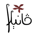 Vanilla Logo TikTok for Business Case Study