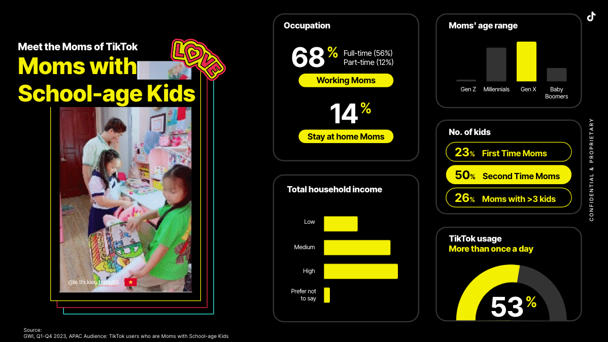 Moms with School Age Kids demographics