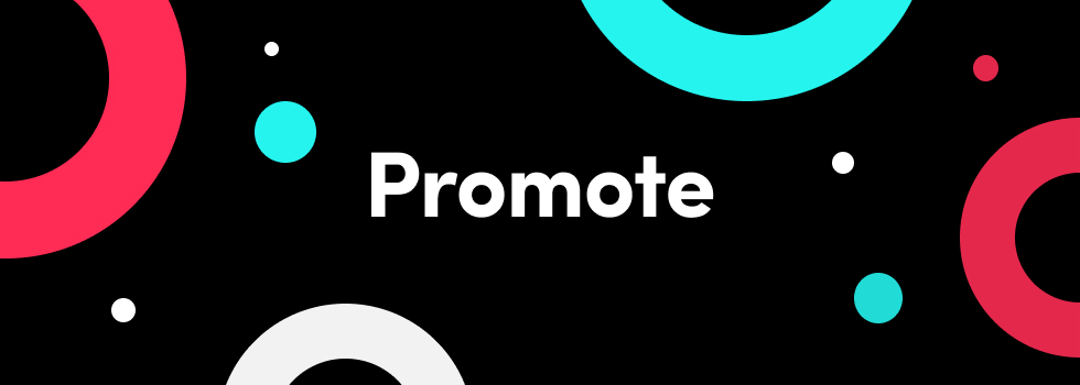 Promote-logo-2