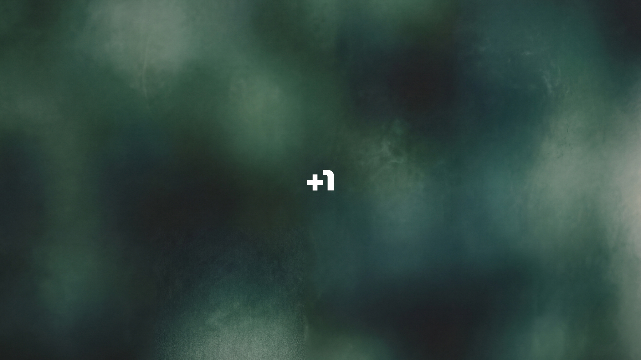 +1© Performance Thumbnail TikTok SMB Case Study