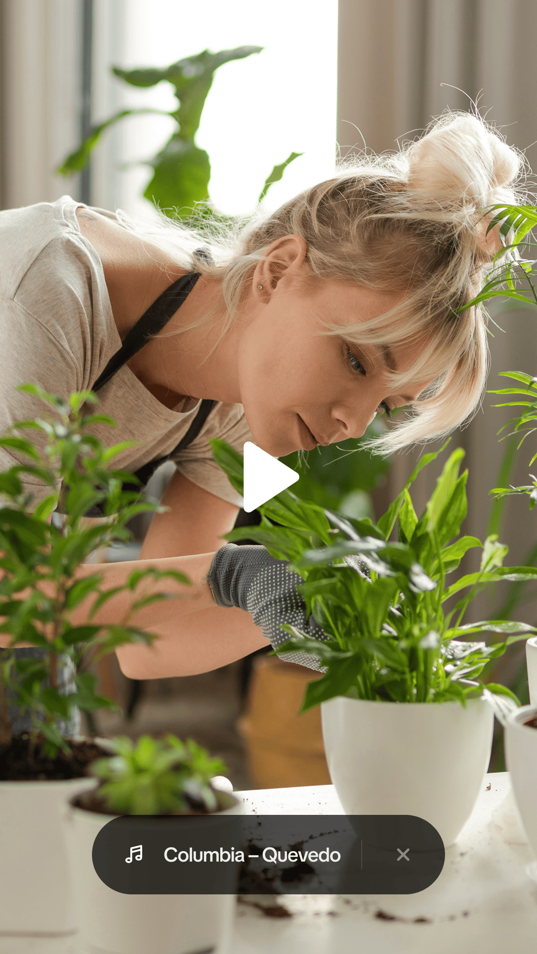 Language=Spanish (Spain), Step=5